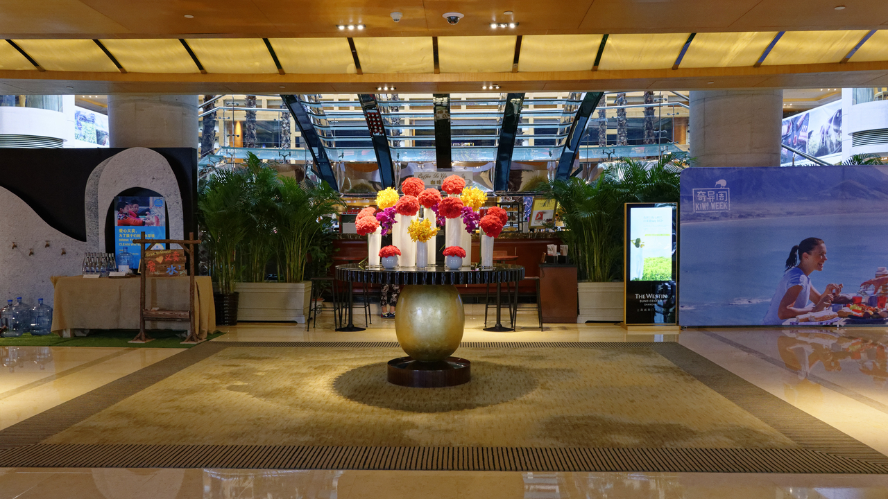 20161112 075322•Shanghai•Shanghai•China